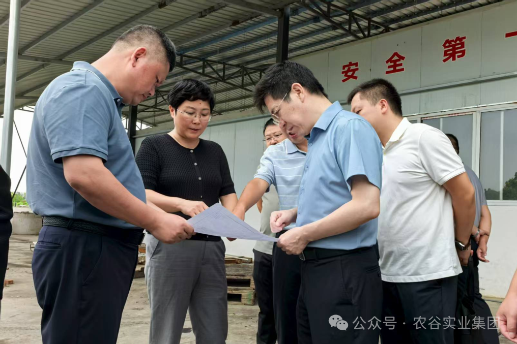 農谷實業集團與沙洋縣攜手推進荊門市風干食品產業園項目建設